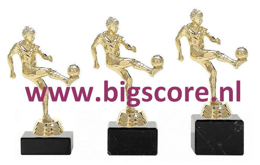 Voetbal Heer Goud 401-G